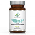 Nicotinamide (Vitamin B3) – Cellular Energy & NAD+ Support